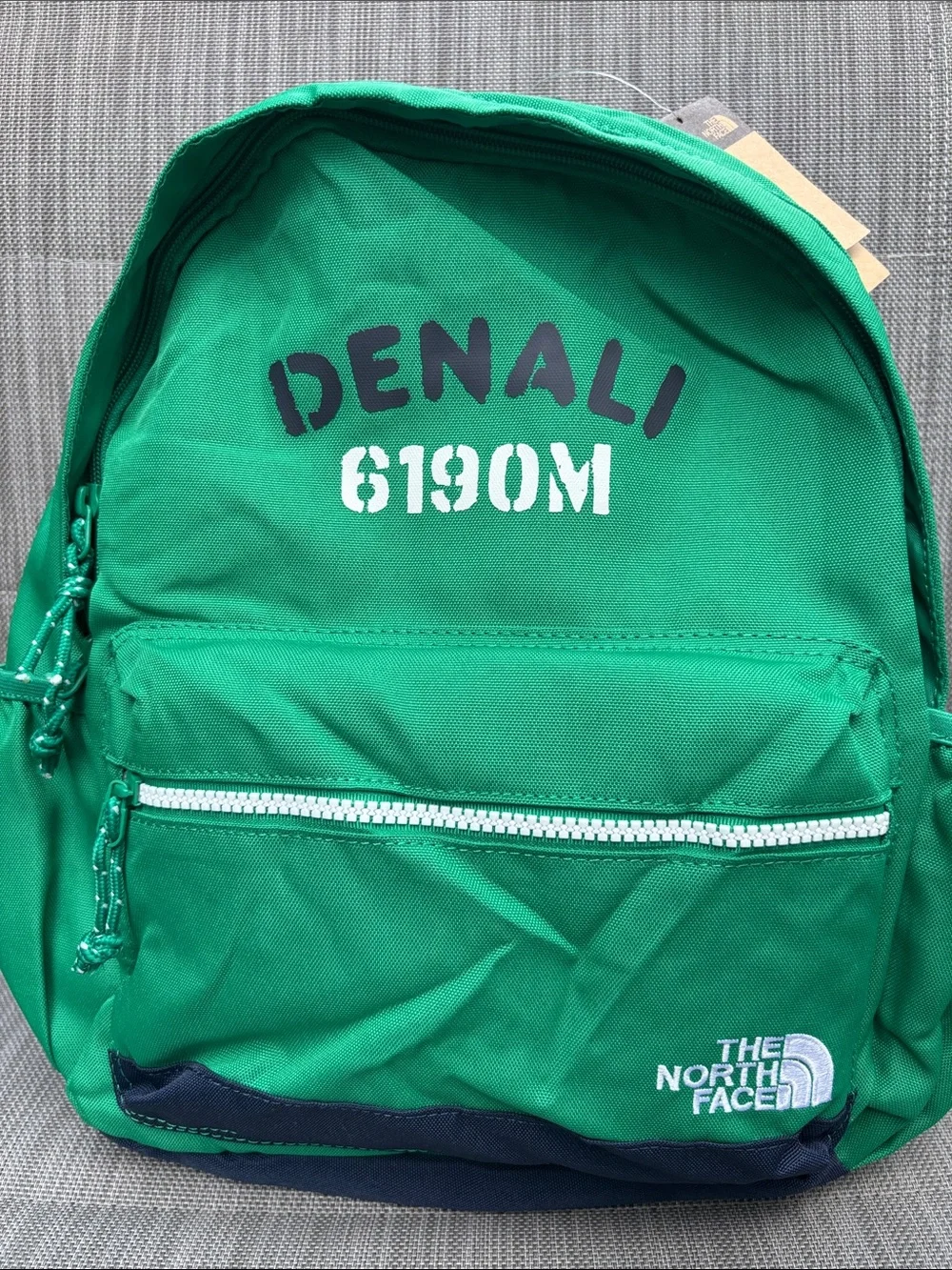 The North Face Kids' Denali Green Backpack with Pencil Case NWT